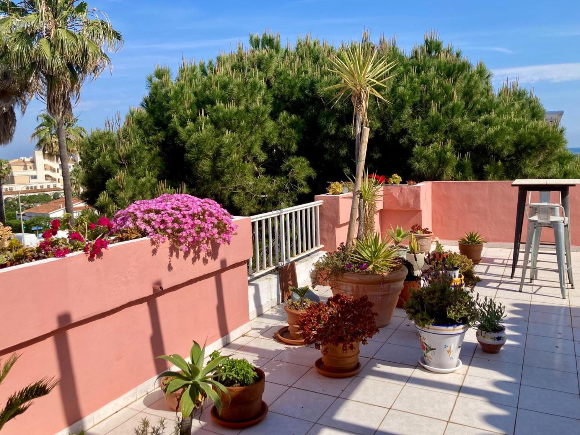 Atico Jazmines Denia Apartment Exterior foto
